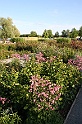 BUGA Schwerin   056